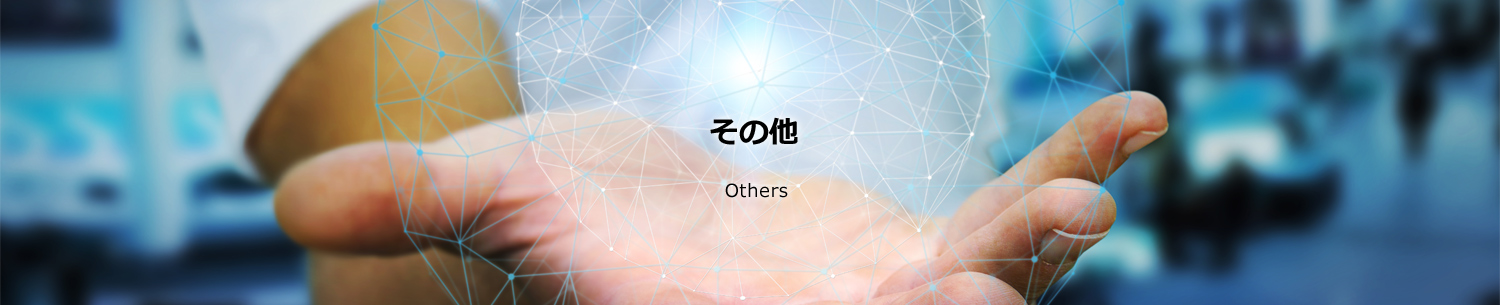その他