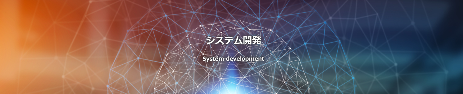 システム開発